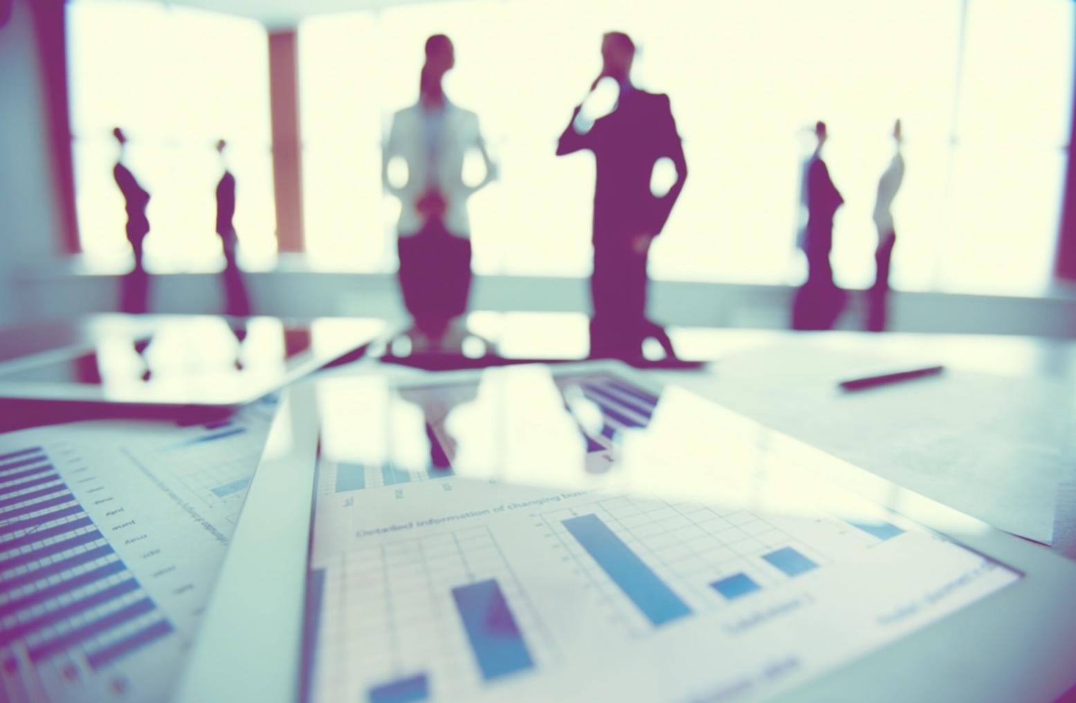 Business professionals collaborating on financial planning and entrepreneurial strategies during a Ziravantelo workshop session